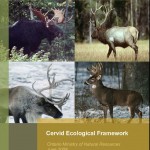 Cervid Ecological Framework