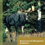 Moose Harvest Management