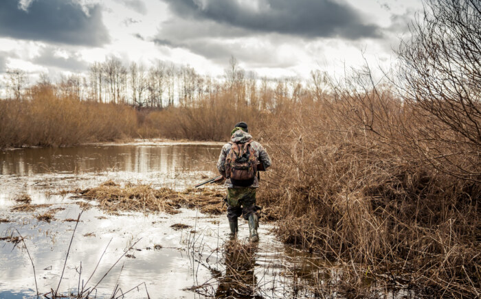 hunter man creeping in swamp during hunting period