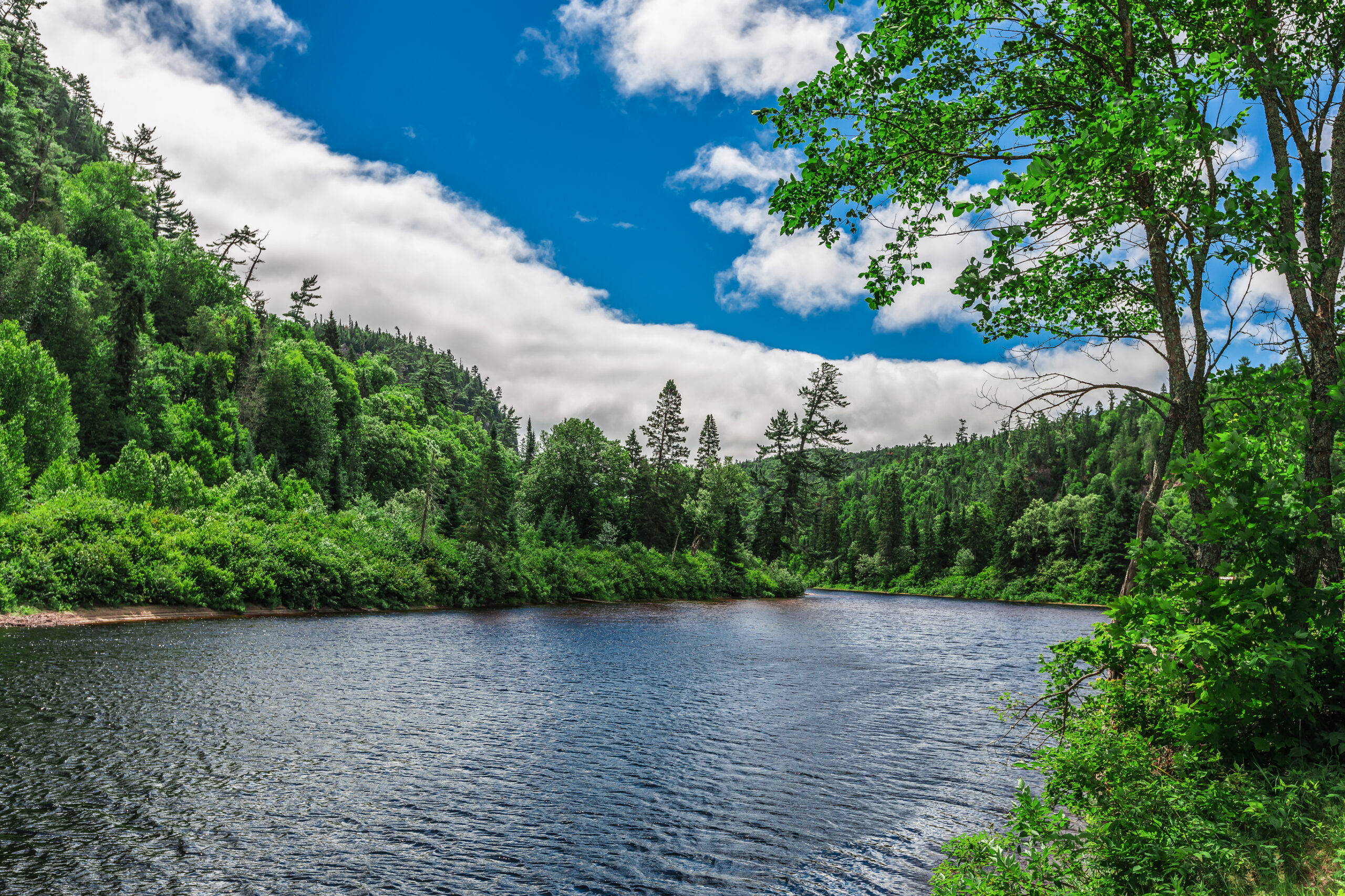 A beautiful landscape of the nature