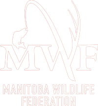 Manitoba Wildlife Federation