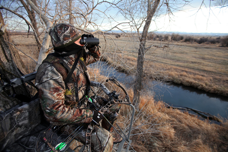 Bowhunter scouting from tree stand.