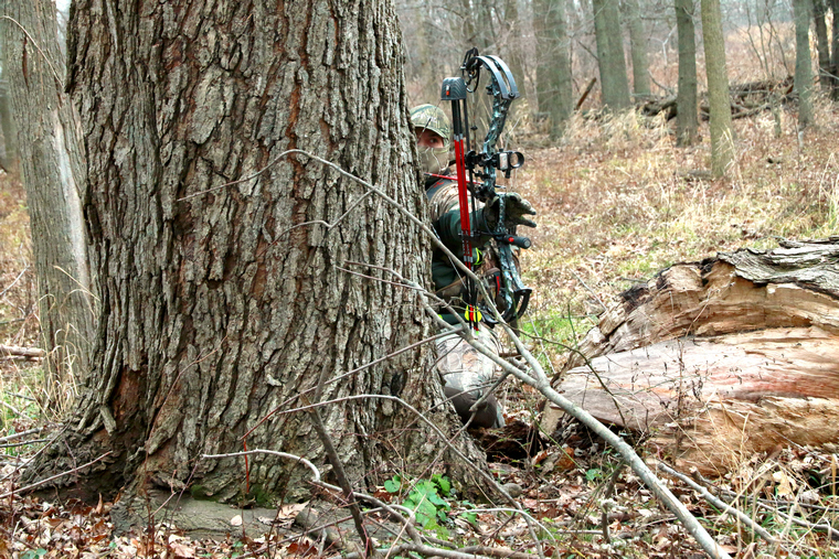 A hunter with a compound bow at full draw, hidden behind the base of a large tree in a hardwood forest.