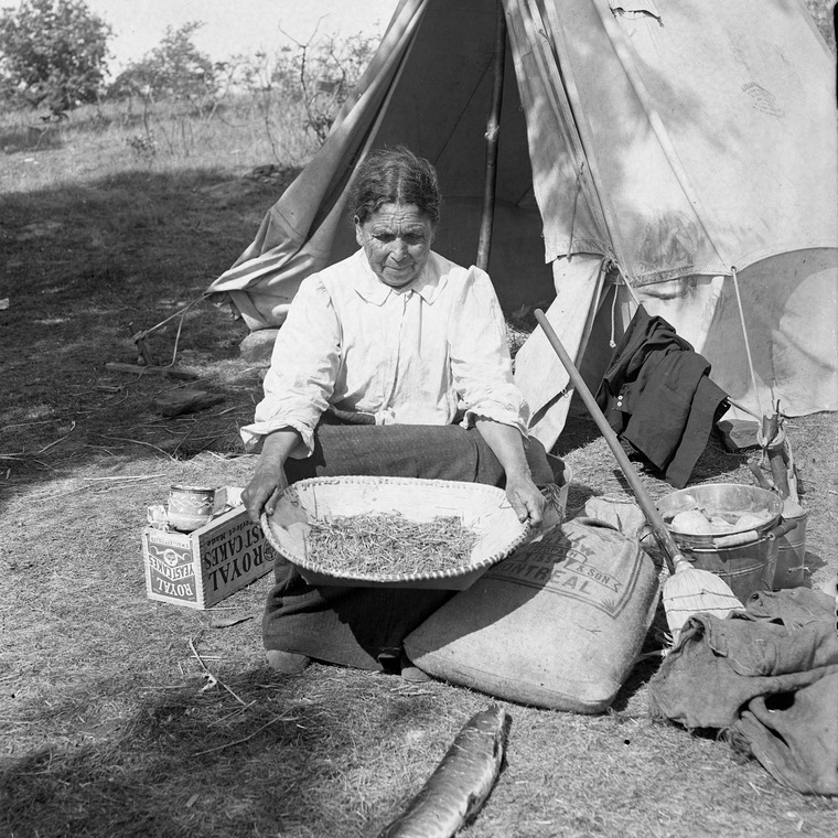 Indigenous woman with fish and grains