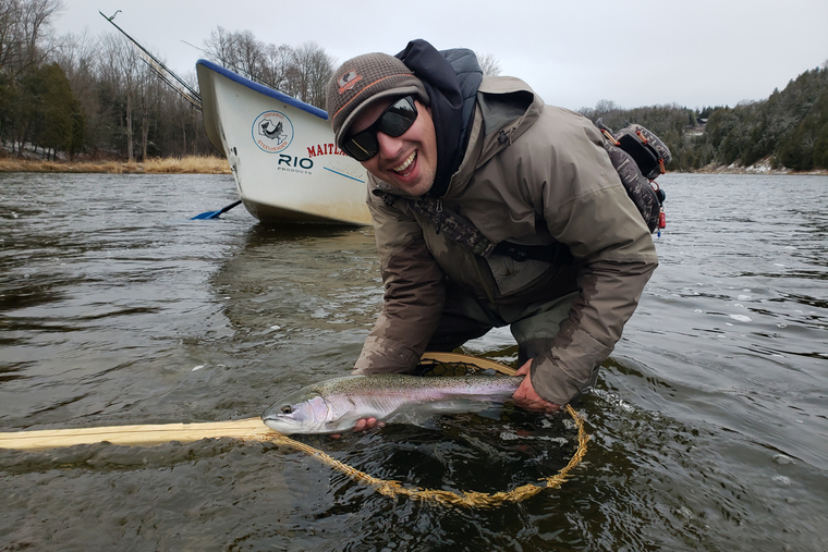 Maitland steelhead in the hands of an angler