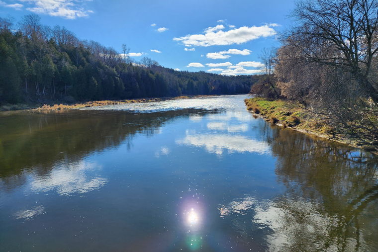 calm Maitland River scene