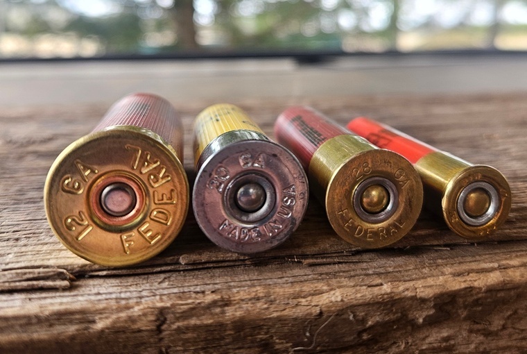12, 20, 28, and .410 gauge shotgun shells neatly lined up on a table for size comparison