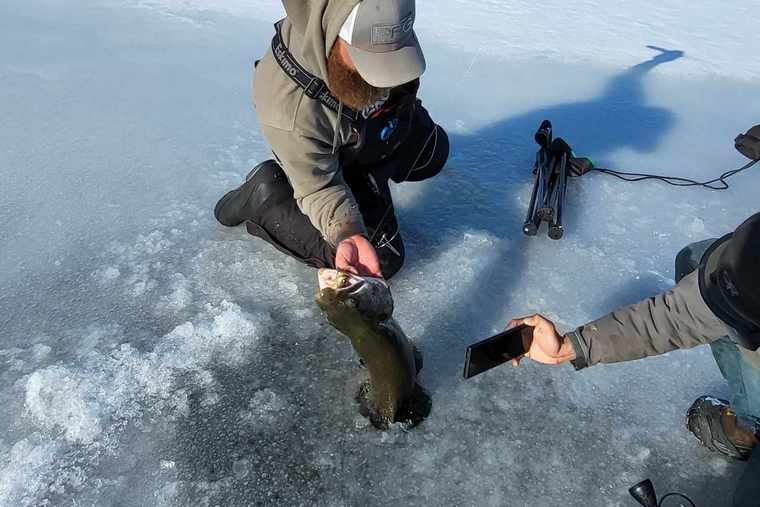 ice angler holds lake trout