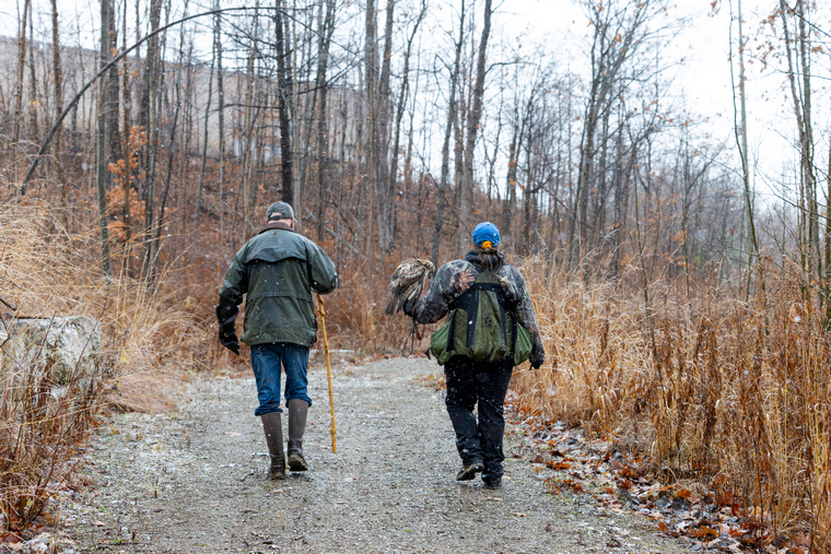 falconer walking with hawk in an urban forest in pursuit of small game