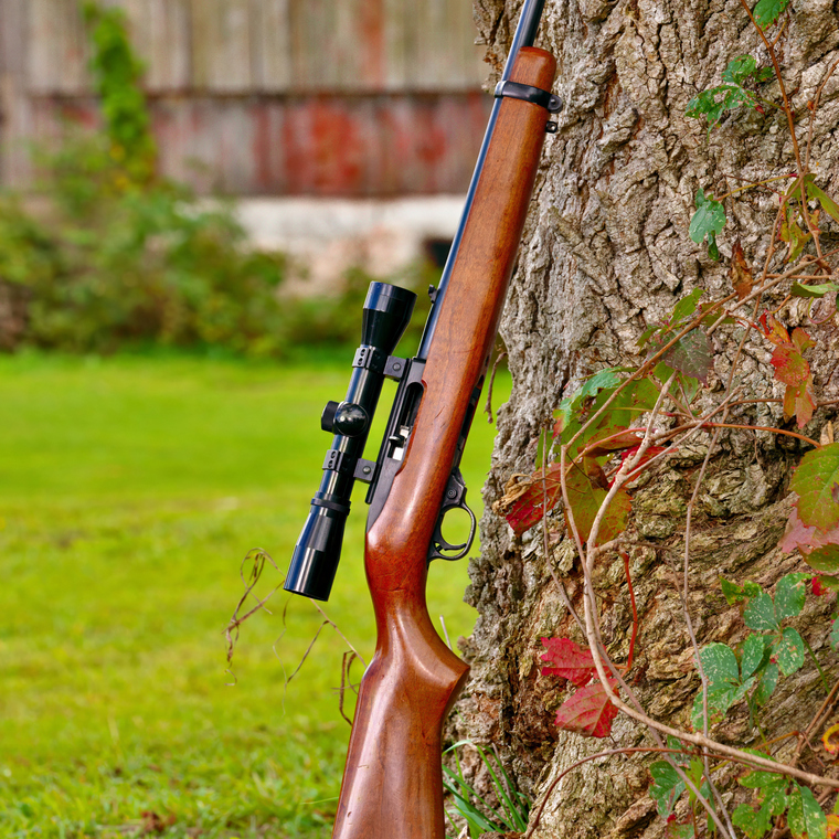 Ruger 10/22 against a tree
