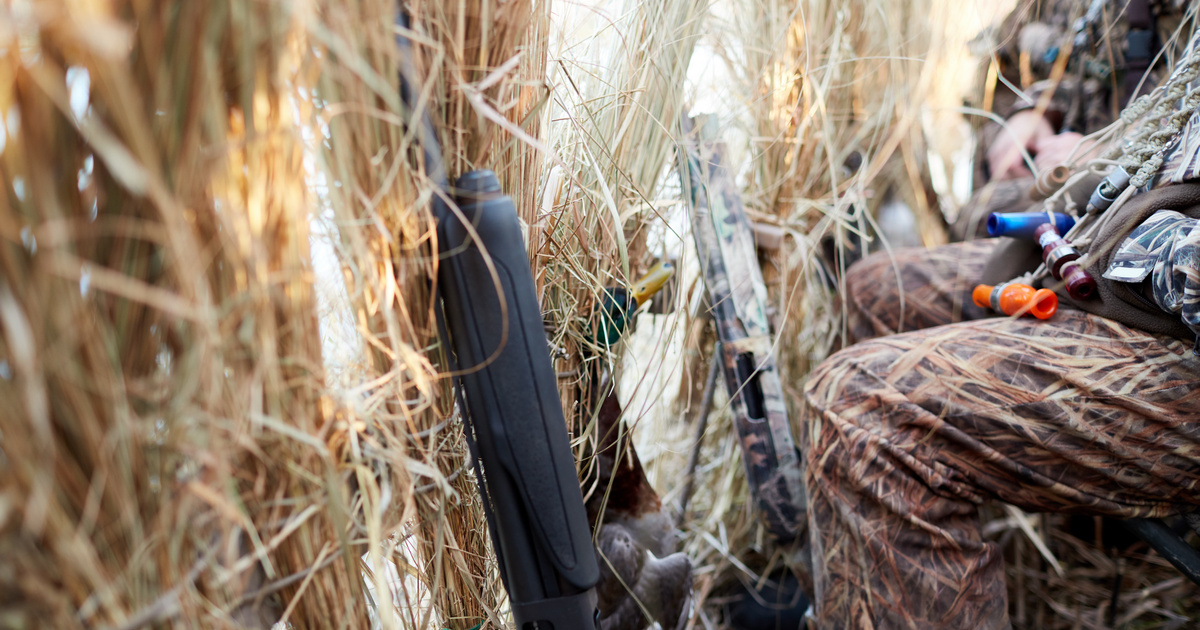 Hunters in camo with shotguns leaning against a duck blind, preparing for the hunt.