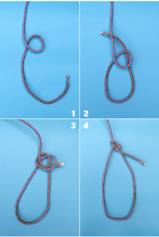 Bowline, essential outdoorsmen knots