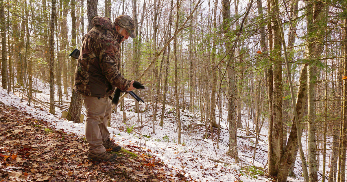 The undervalued hunt for squirrels