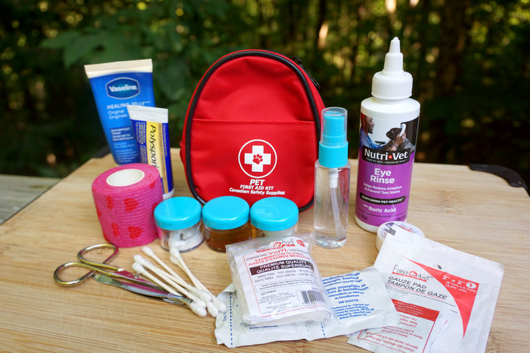 gun dog first aid kit