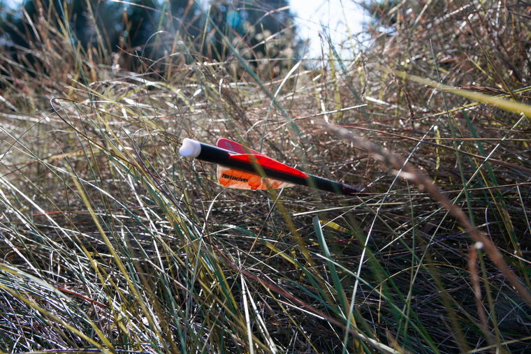 arrow in the grass