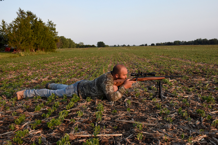 hunter lays on the ground looking through a scope while groundhog hunting
