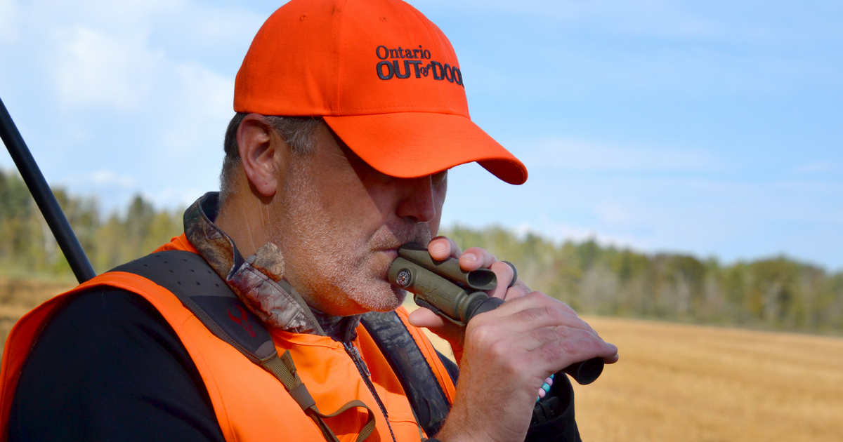 The snort-wheeze call