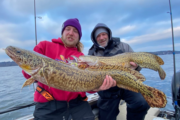 two anglers holding burbot