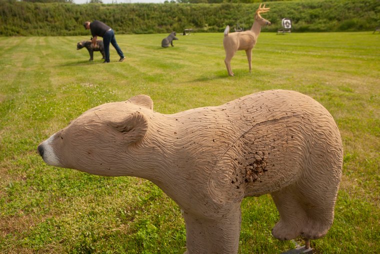 An archer retrieves arrows from 3D archery targets in an outdoor setting to practice year round archery.