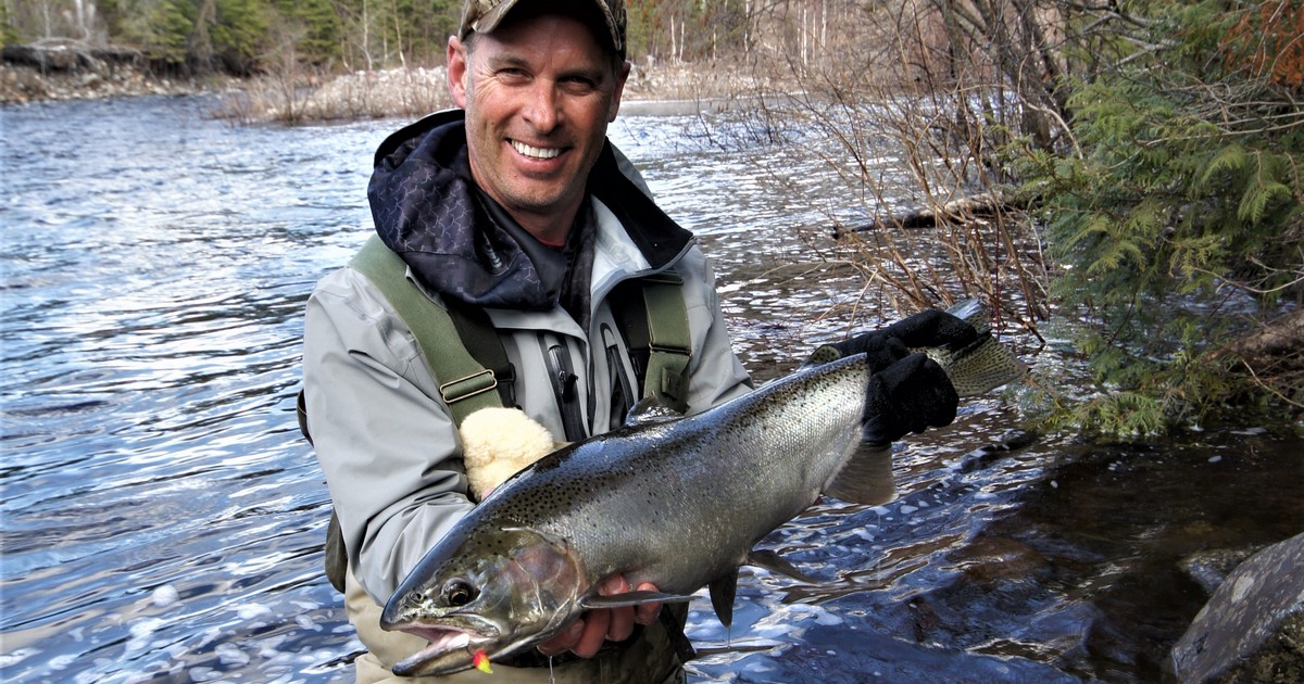 Steelhead 101