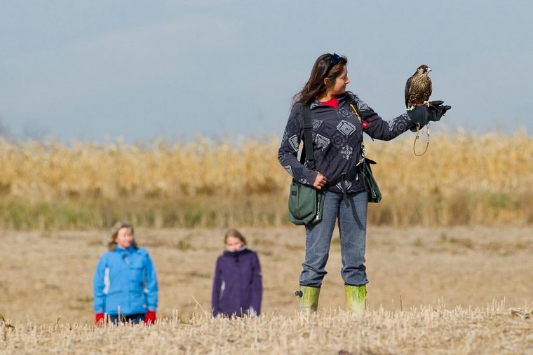 Maya Basdeo and hawk