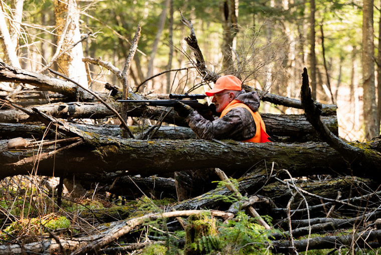 A hunter in hunter orange sits quietly in a swamp, concealed behind fallen trees, peering through the scope of a hunting rifle.