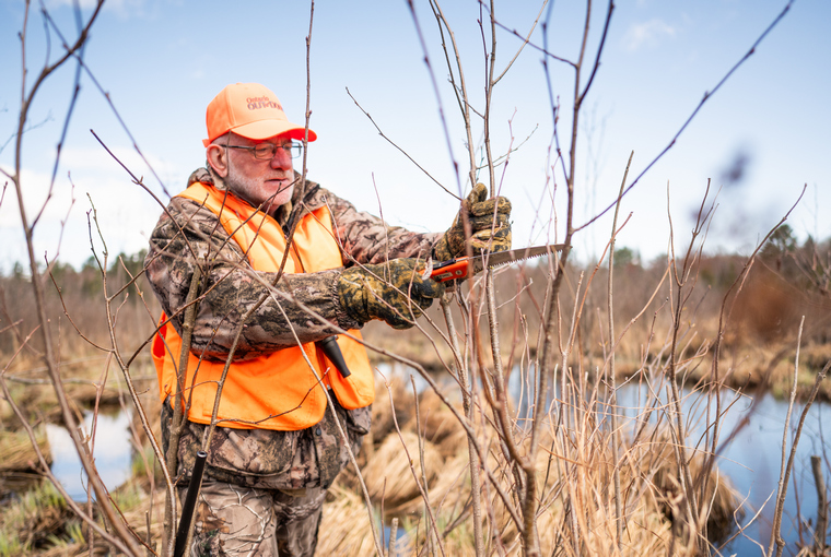 A hunter dressed in hunter orange and camo stands in the middle of a swamp while sawing  branches off a tree.