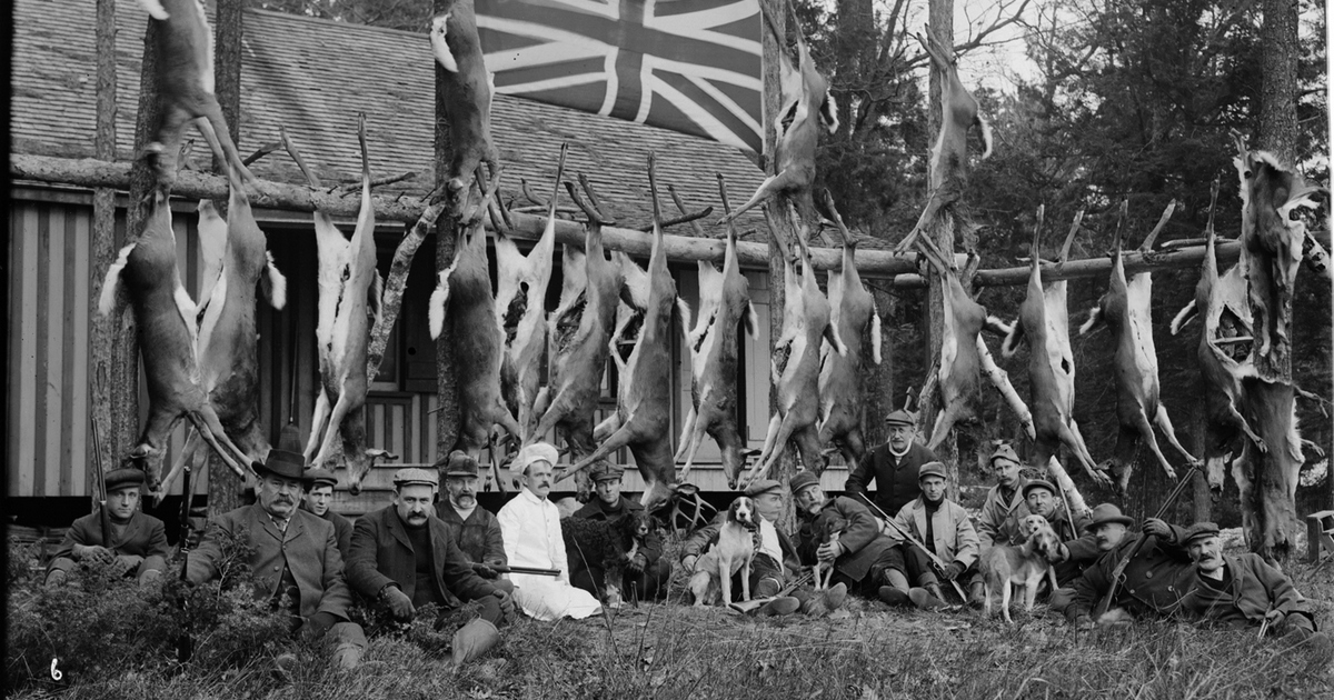 Hunters with 19 deer hanging