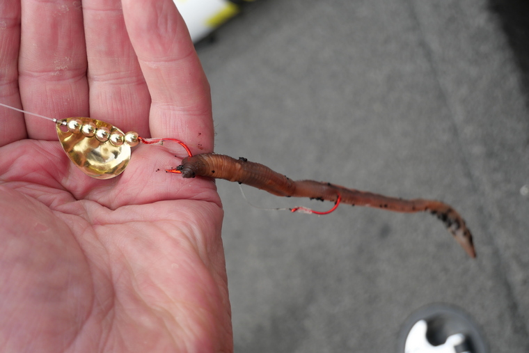 Close-up of an angler's hands holding a spinner rig, showcasing its details.
