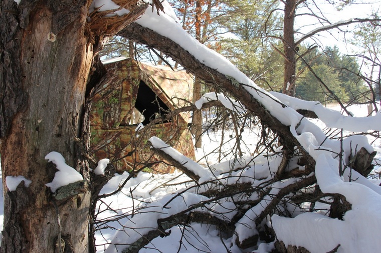 Ground blind in the snow