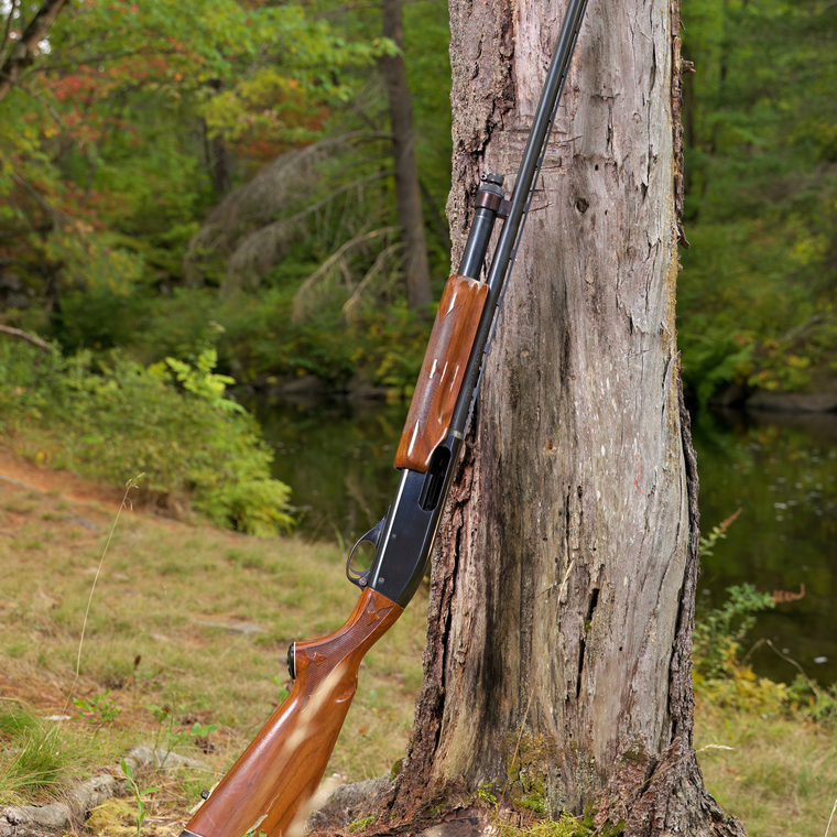 Remington model 870 leaning against a tree