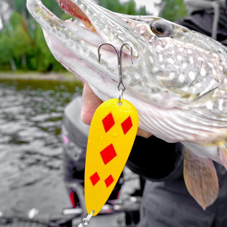 The Len Thompson Spoon 