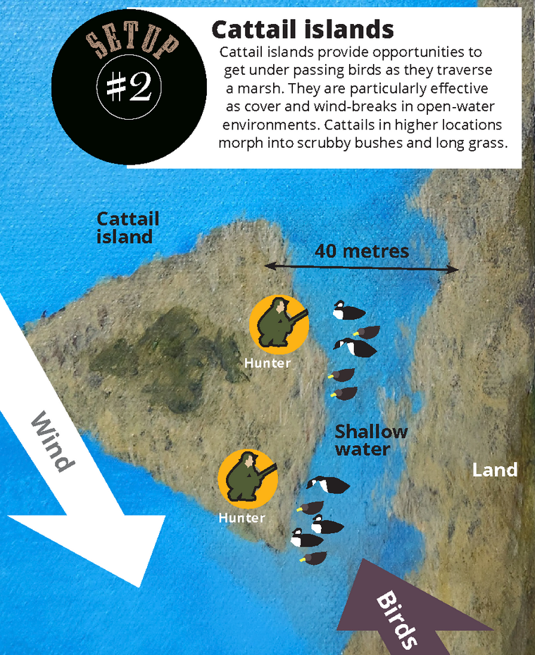 decoy set up 2 diagram, Cattail islands