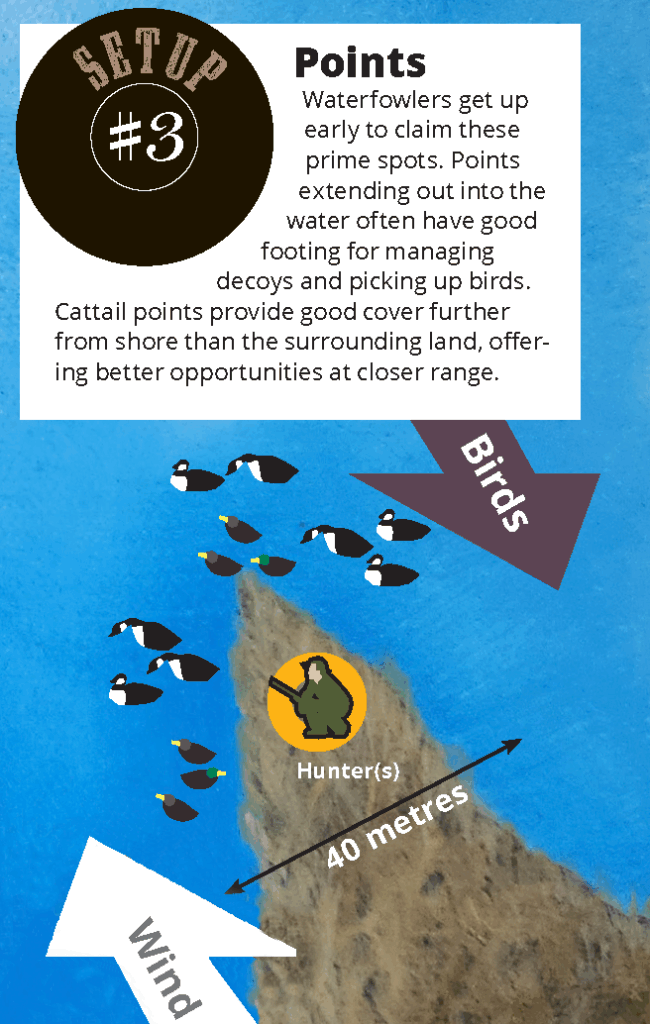 decoy set up 3 diagram, points