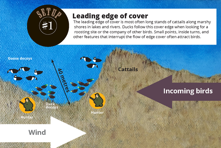 decoy set up 1 diagram