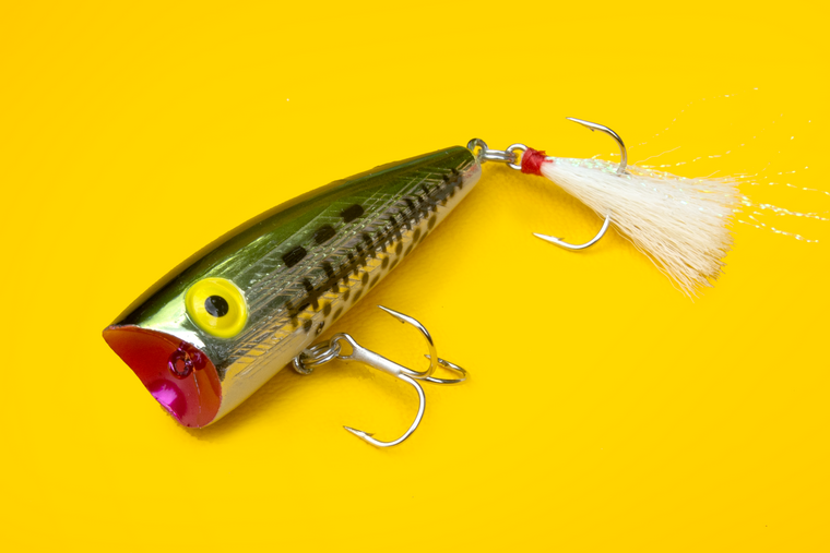 Rebel Pop-R lure