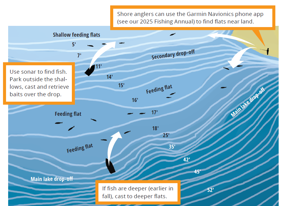 Fall walleye fishing diagram