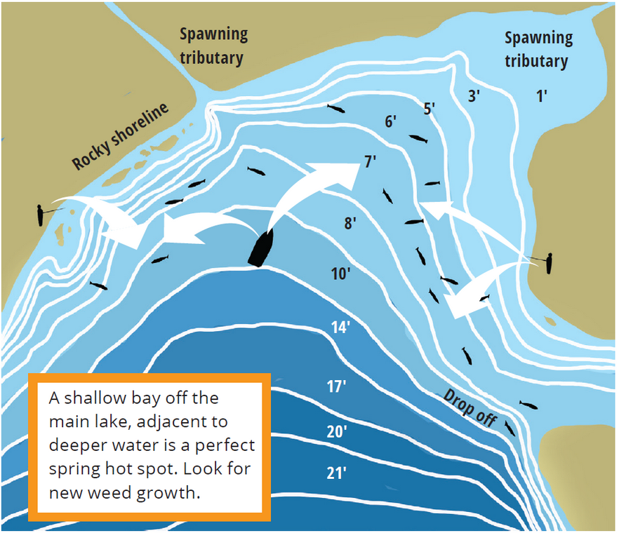 Spring walleye fishing diagram
