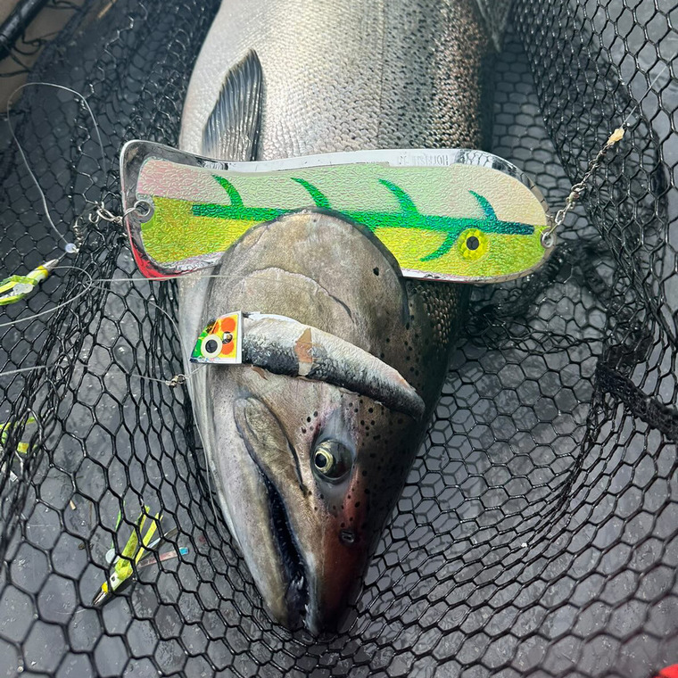 Cher Dawson's flasher design, Dew It.