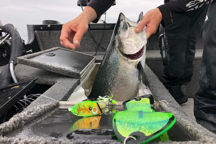 Cher Dawson's flasher design, Toxic Tree Frog