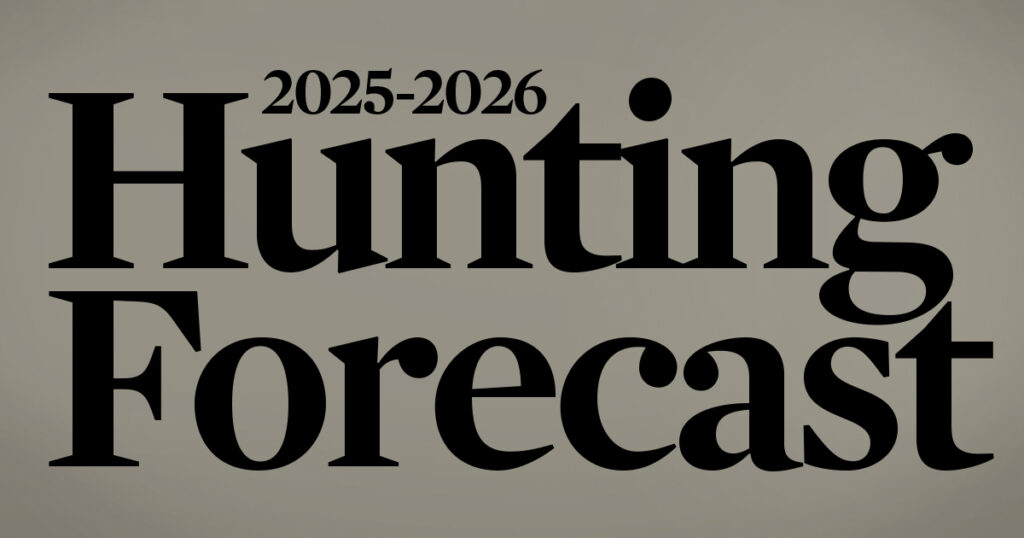 hunting forecast 2025-2026