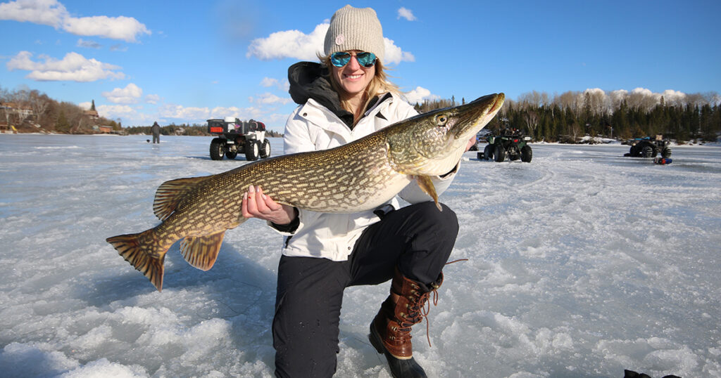 winter predator pike
