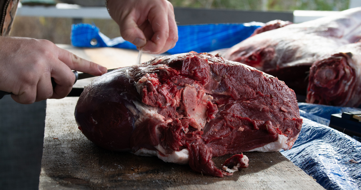 Care and Cooking 101