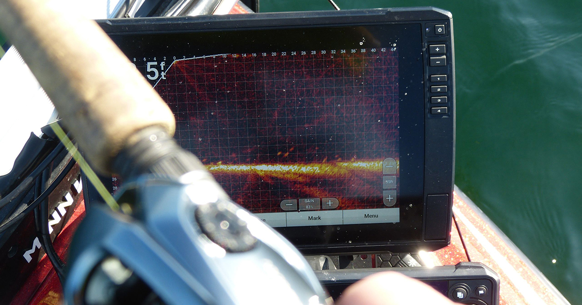 forward facing sonar