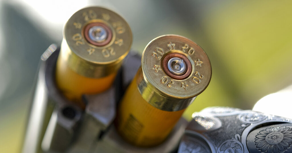 gun firearm supervision