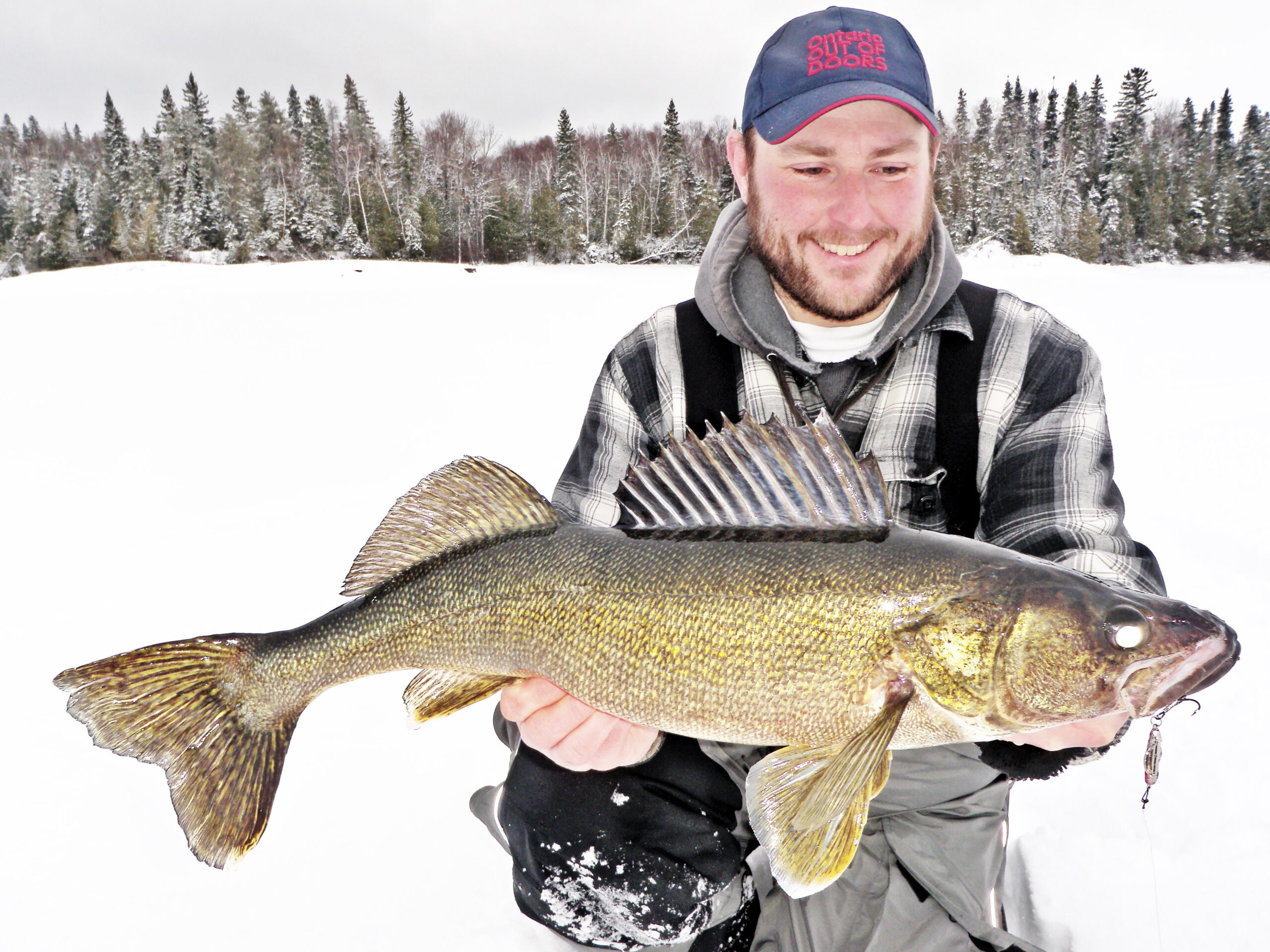 ice walleye