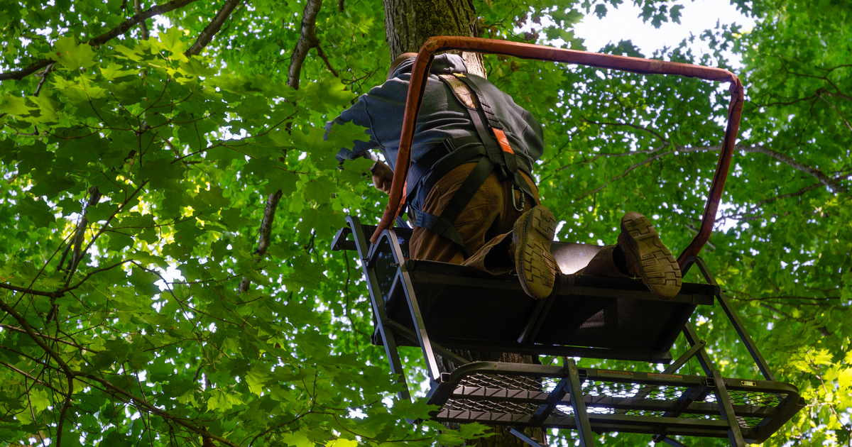 tree stand fixes