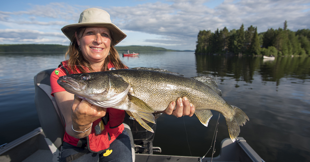 Wakami walleye