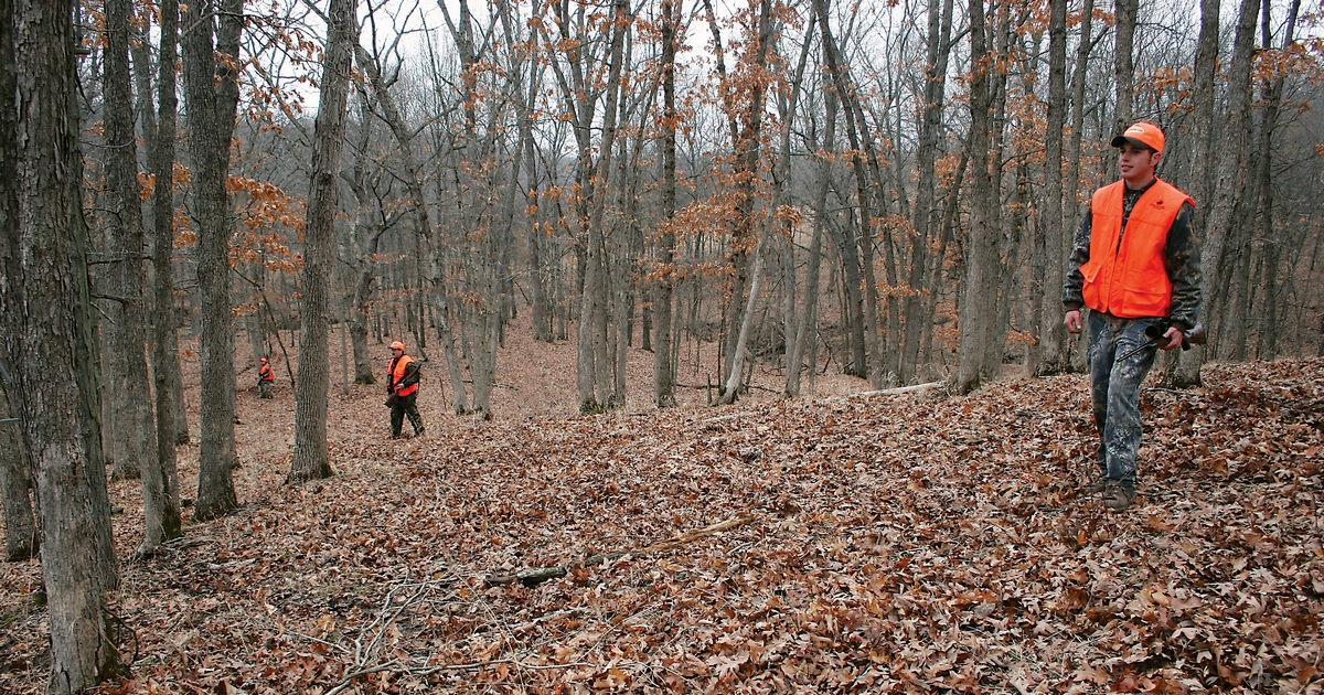 Pushing deer for success