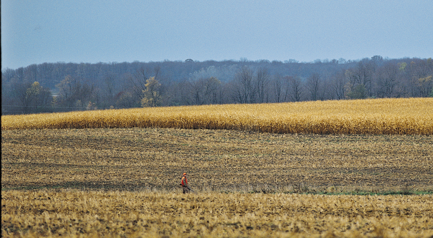 The farm whitetail hunt